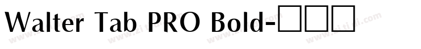 Walter Tab PRO Bold字体转换